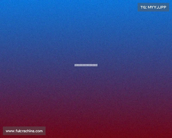 赛事申报函撰写全程指导与申报策略